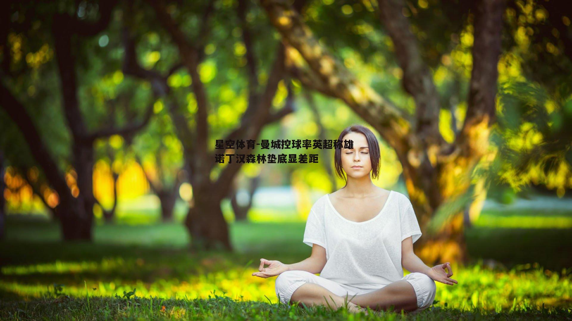 曼城控球率英超称雄 诺丁汉森林垫底显差距